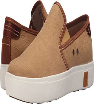 Cotton Canvas